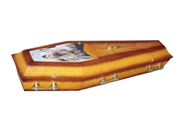 20 1 removebg preview