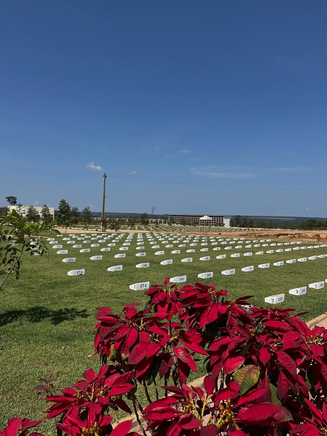 556438546 17884563579374623 240146208780672413 n.