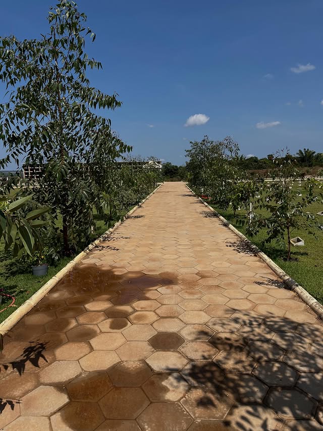 557709696 17884563591374623 4412041806589765502 n.