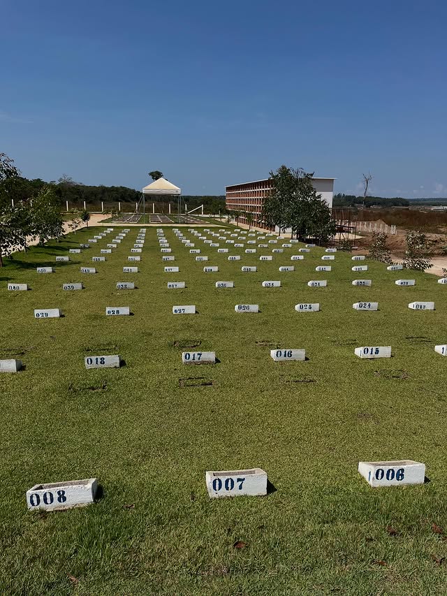 558339995 17884563570374623 4515688664668303973 n.