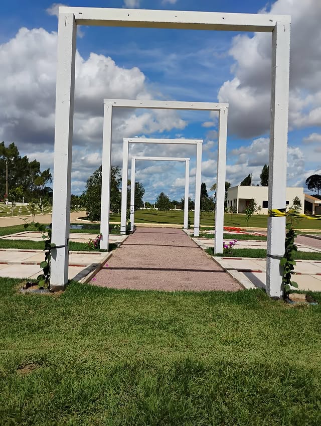 566166321 17886395598374623 614370748758753656 n.